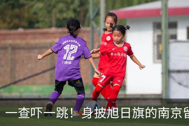 一查吓一跳！身披旭日旗的南京留学生，求学开销远比我们想的可怕