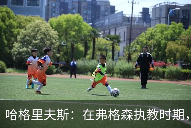 哈格里夫斯：在弗格森执教时期，如果B费质疑战术将再也无法出场
