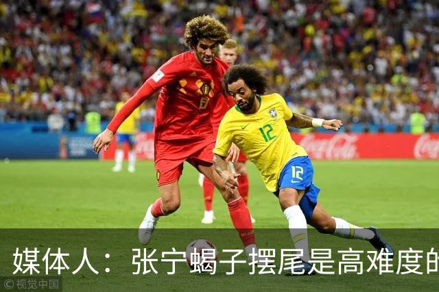 媒体人：张宁蝎子摆尾是高难度的武术技击动作 对篮球裁判有些超纲
