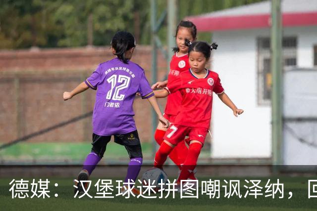 德媒：汉堡球迷拼图嘲讽泽纳，回击法兰克福