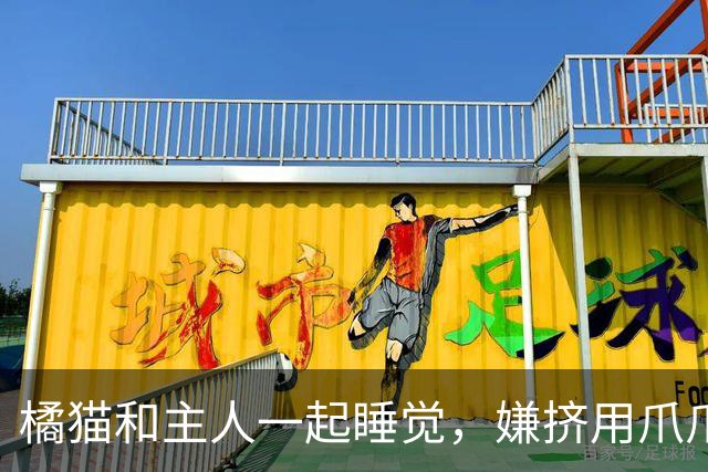 橘猫和主人一起睡觉，嫌挤用爪爪推人，全网萌翻：咋还藏了只小鸡