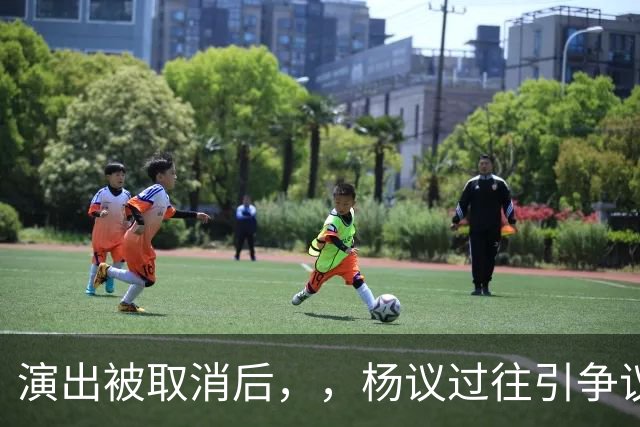 演出被取消后，，杨议过往引争议，，哥哥控诉其独吞父亲遗产，圈内人表态