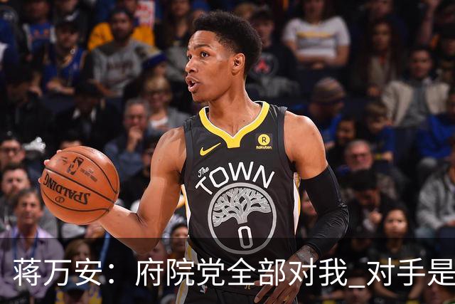 蒋万安：府院党全部对我 对手是两个沈伯洋