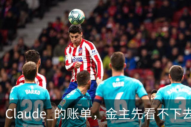Claude 的账单，金主先看不下去了